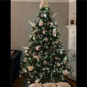 Meet your Posher, Anastasia